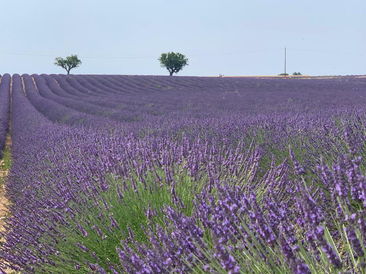 אקס-אן-פרובאנס Studios Nuitee En Provence מראה חיצוני תמונה